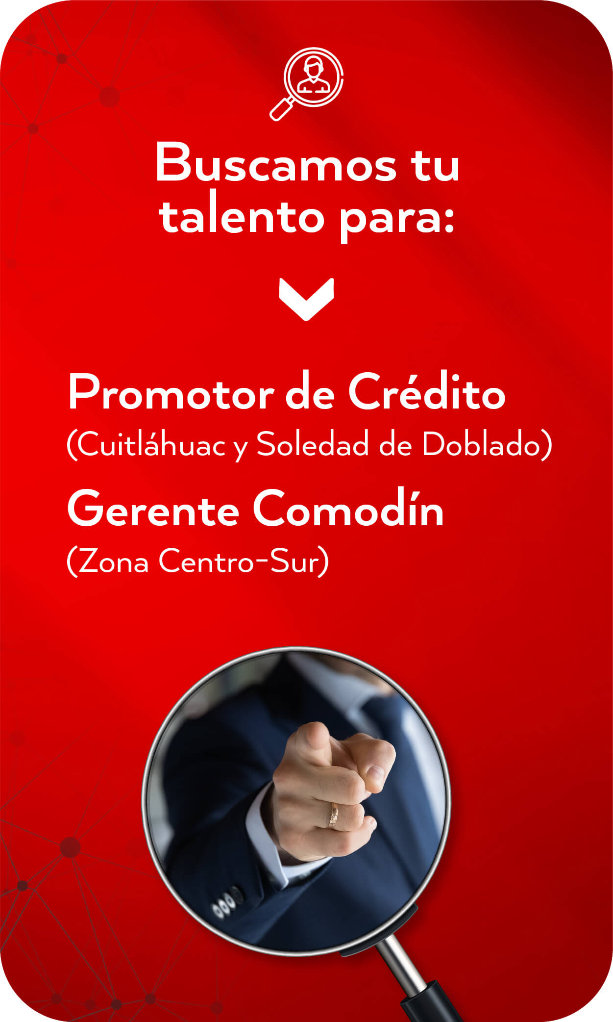 Vacante Web (1)